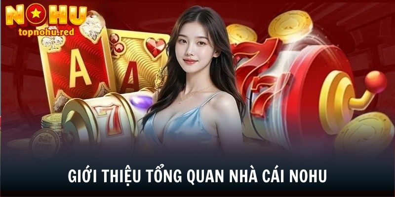 Tổng quát các thông tin liên quan đến NOHU